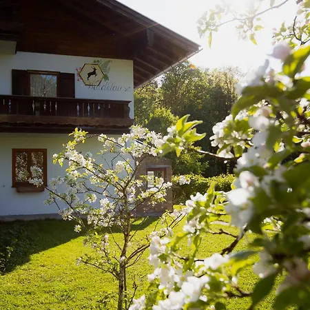 Appartement Mankei *